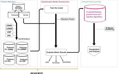 Discovering Potential Taxonomic Biomarkers of Type 2 Diabetes From Human Gut Microbiota via Different Feature Selection Methods